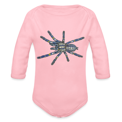 Baby Bio Body lang Poecilotheria metallica - Hellrosa