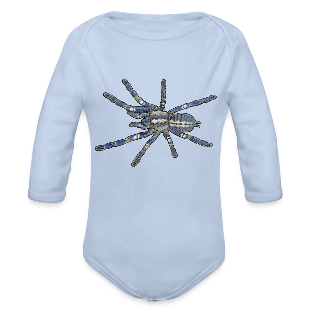 Baby Bio Body lang Poecilotheria metallica - Sky