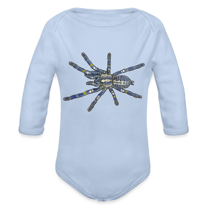 Baby Bio Body lang Poecilotheria metallica - Sky