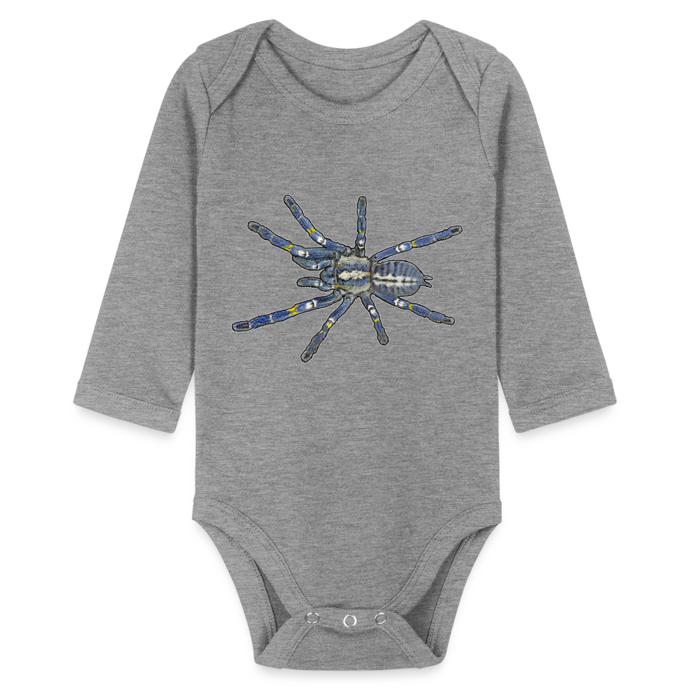 Baby Bio Body lang Poecilotheria metallica - Grau meliert