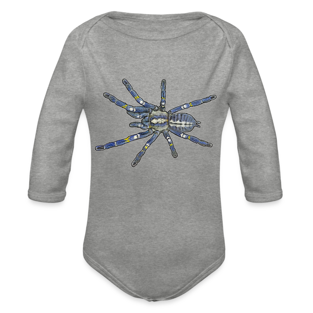 Baby Bio Body lang Poecilotheria metallica - Grau meliert
