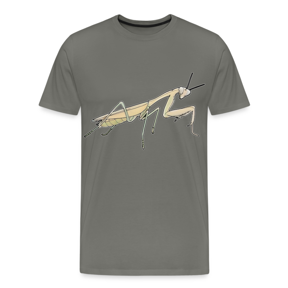 Männer Basic T-Shirt Hierodula membranacea female - Asphalt
