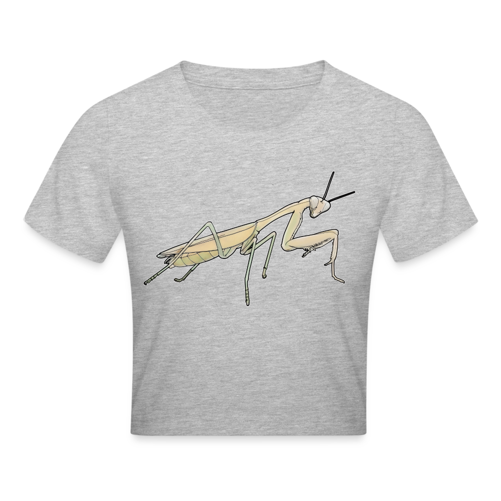 Crop T-Shirt Hierodula membranacea female - Grau meliert