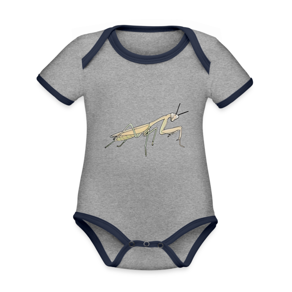 Baby Bio Kontrastbody Hierodula membranacea female - Grau meliert/Navy