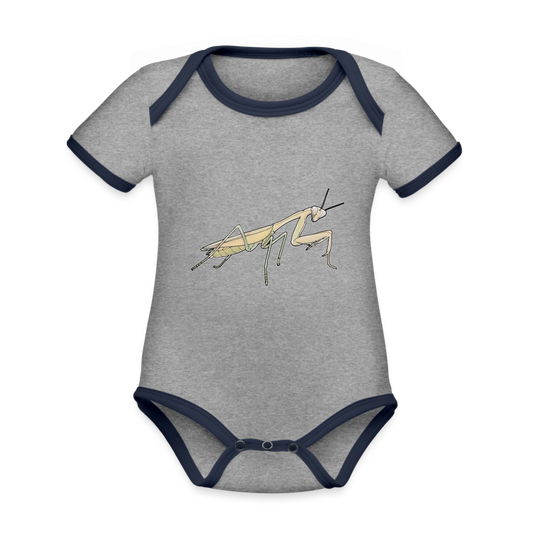 Baby Bio Kontrastbody Hierodula membranacea female - Grau meliert/Navy