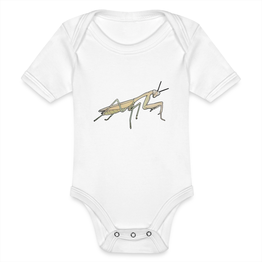 Baby Bio Body kurz Hierodula membranacea female - weiß