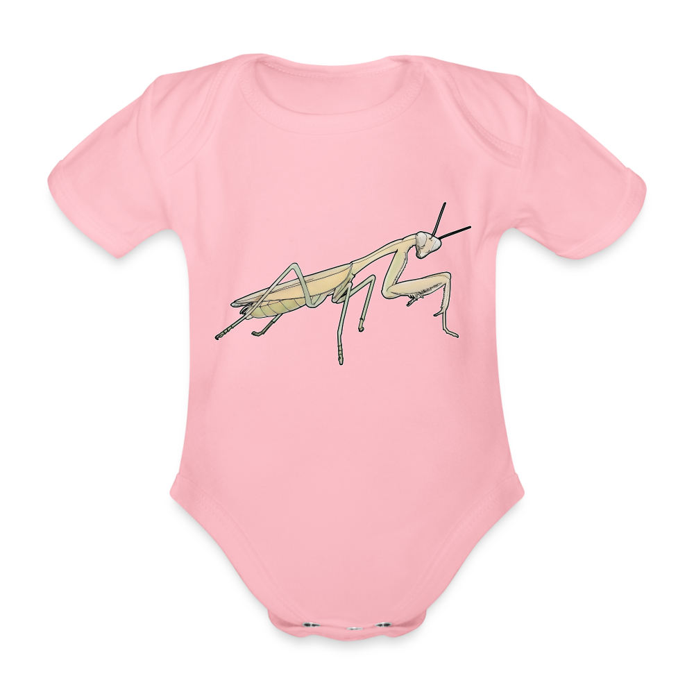 Baby Bio Body kurz Hierodula membranacea female - Hellrosa