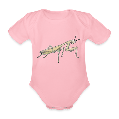 Baby Bio Body kurz Hierodula membranacea female - Hellrosa