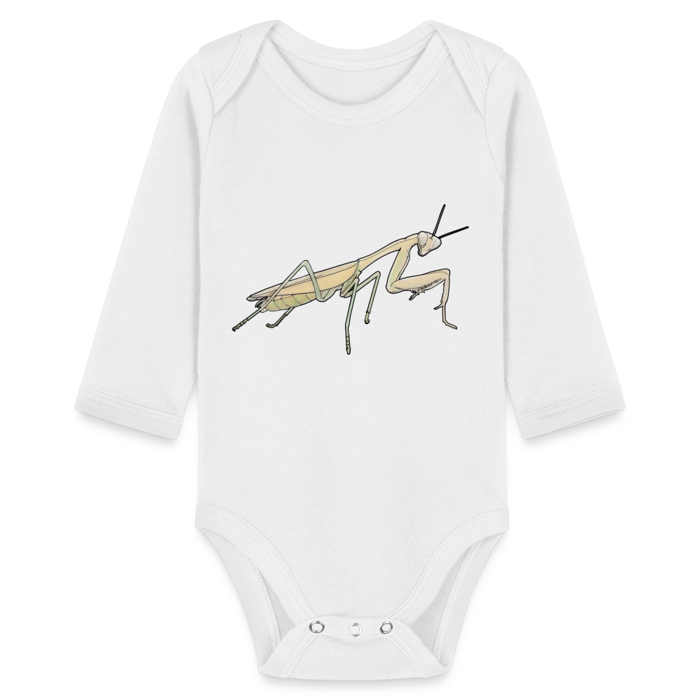 Baby Bio Body lang Hierodula membranacea female - weiß