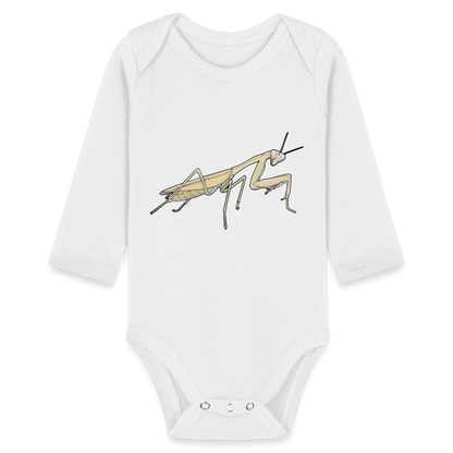 Baby Bio Body lang Hierodula membranacea female - weiß