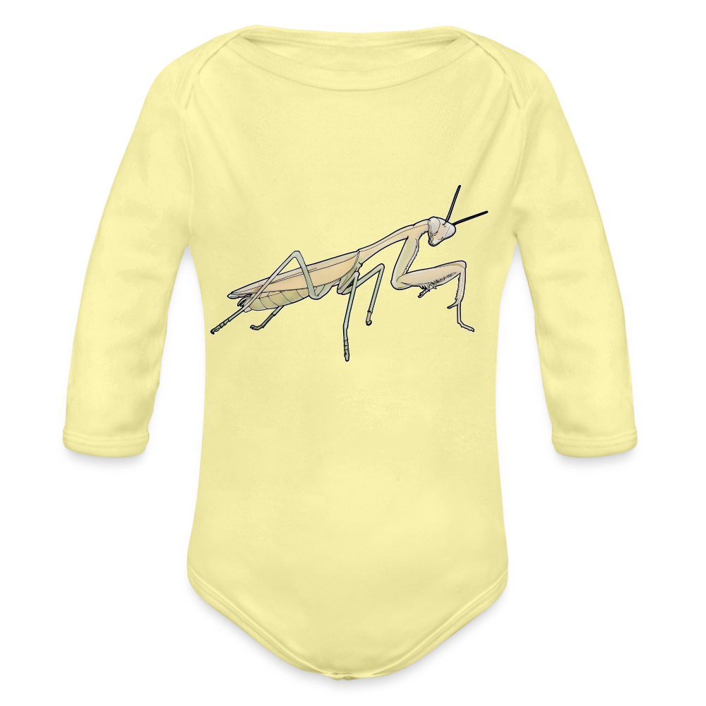 Baby Bio Body lang Hierodula membranacea female - Hellgelb
