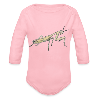 Baby Bio Body lang Hierodula membranacea female - Hellrosa