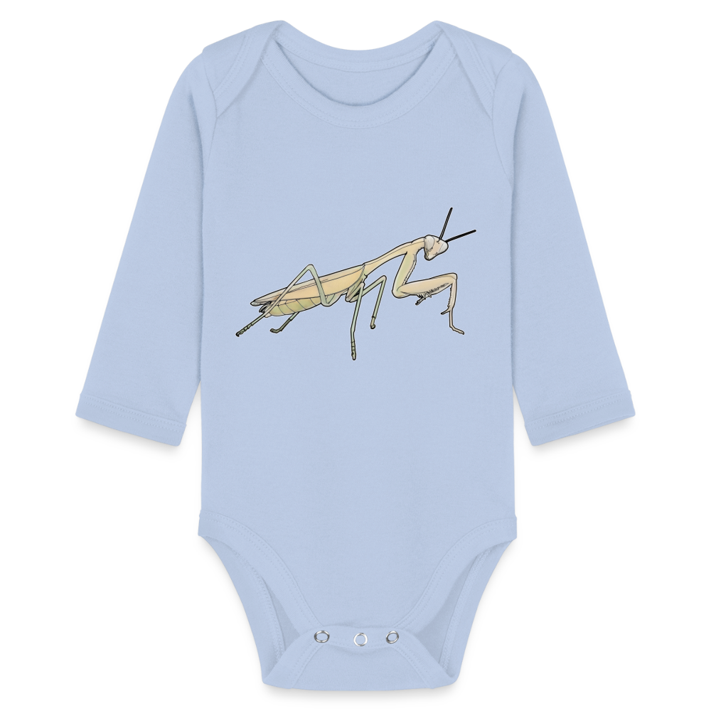 Baby Bio Body lang Hierodula membranacea female - Sky