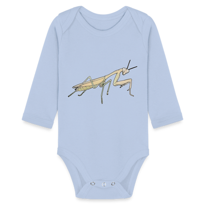 Baby Bio Body lang Hierodula membranacea female - Sky
