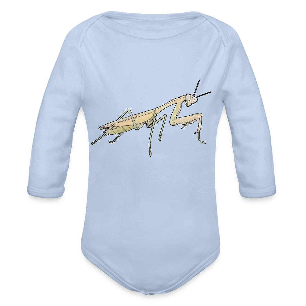 Baby Bio Body lang Hierodula membranacea female - Sky