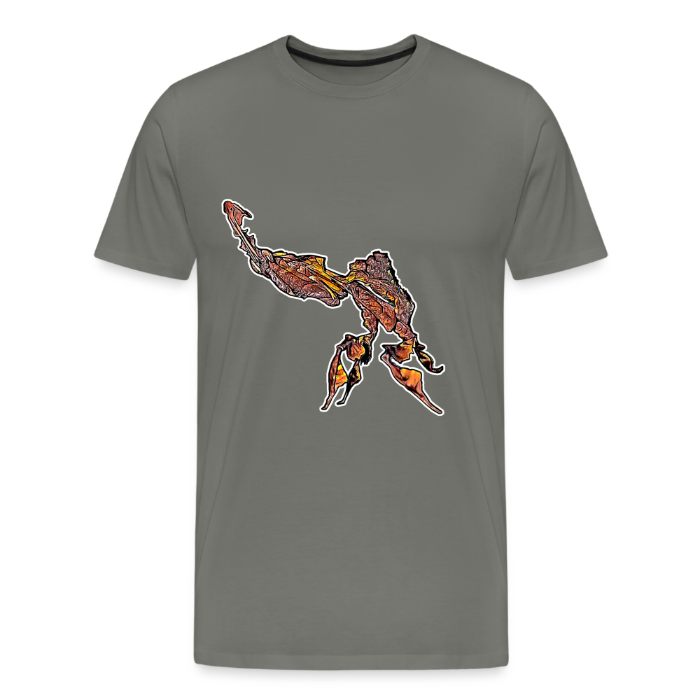 Männer Basic T-Shirt Phyllocrania paradoxa - asphalt
