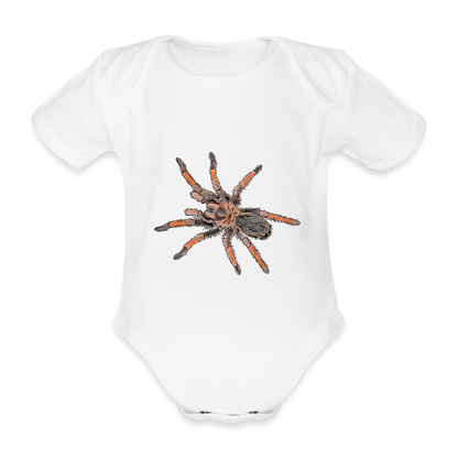 Baby Body kurz Brachypelma emilia - white