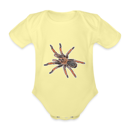 Baby Body kurz Brachypelma emilia - washed yellow