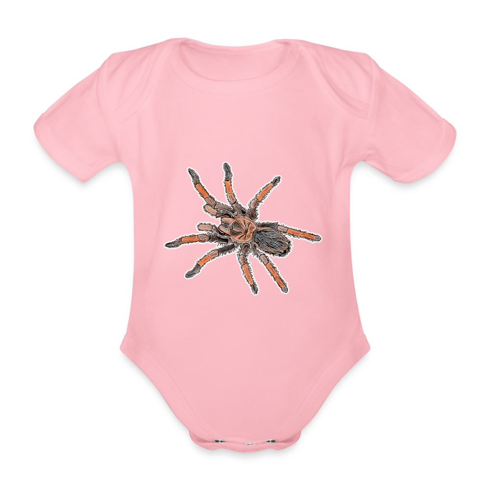 Baby Body kurz Brachypelma emilia - light pink