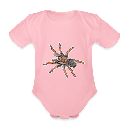Baby Body kurz Brachypelma emilia - light pink