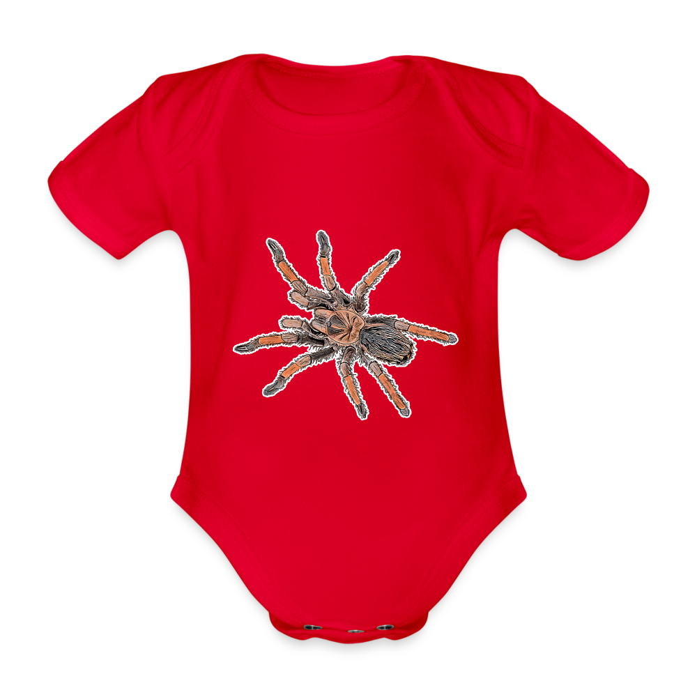 Baby Body kurz Brachypelma emilia - red
