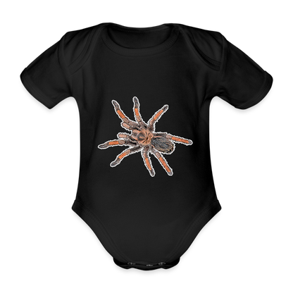Baby Body kurz Brachypelma emilia - black