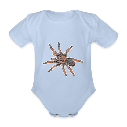 Baby Body kurz Brachypelma emilia - sky