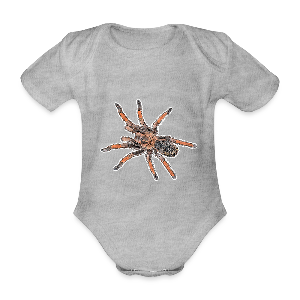 Baby Body kurz Brachypelma emilia - heather grey