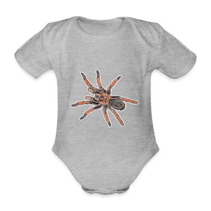 Baby Body kurz Brachypelma emilia - heather grey