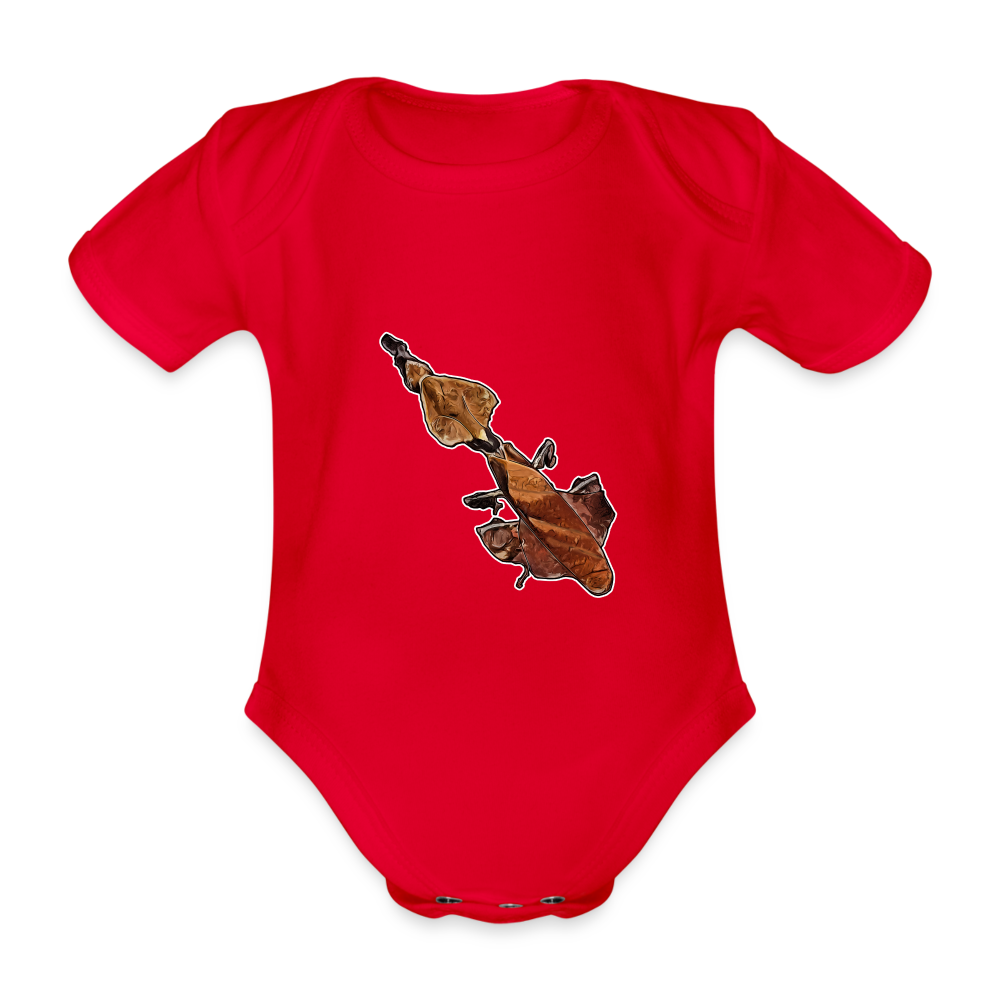 Baby Body kurz Phyllocrania paradoxa female - red