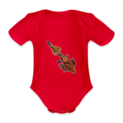 Baby Body kurz Phyllocrania paradoxa female - red