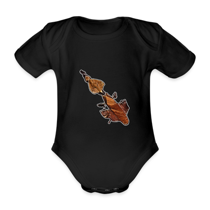 Baby Body kurz Phyllocrania paradoxa female - black