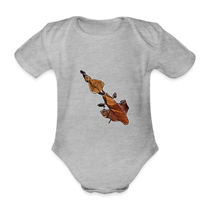 Baby Body kurz Phyllocrania paradoxa female - heather grey
