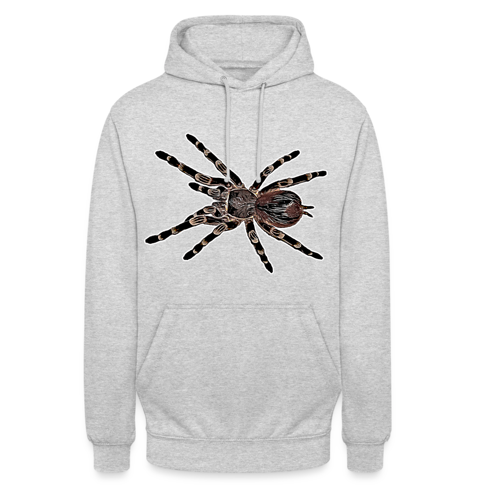 Unisex Hoodie Acanthoscurria geniculata - light heather grey