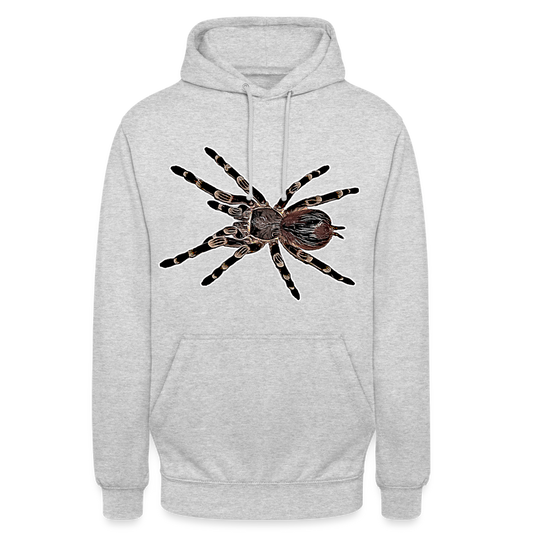 Unisex Hoodie Acanthoscurria geniculata - light heather grey