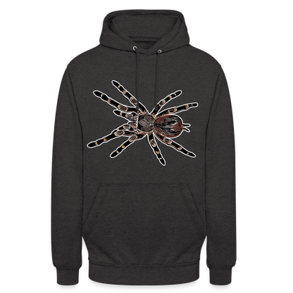 Unisex Hoodie Acanthoscurria geniculata - charcoal grey