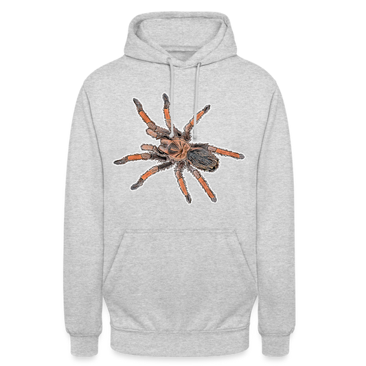 Unisex Hoodie Brachypelma emilia - light heather grey
