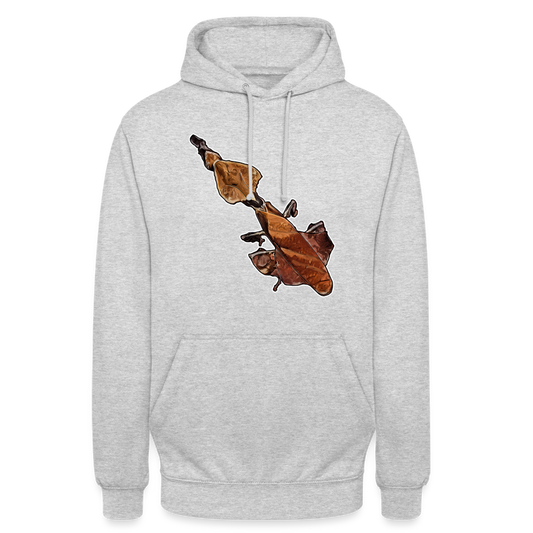 Unisex Hoodie Phyllocrania paradoxa - light heather grey