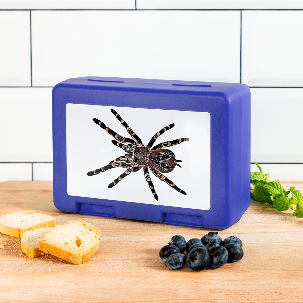 Lunchbox Acanthoscurria geniculata - royal blue