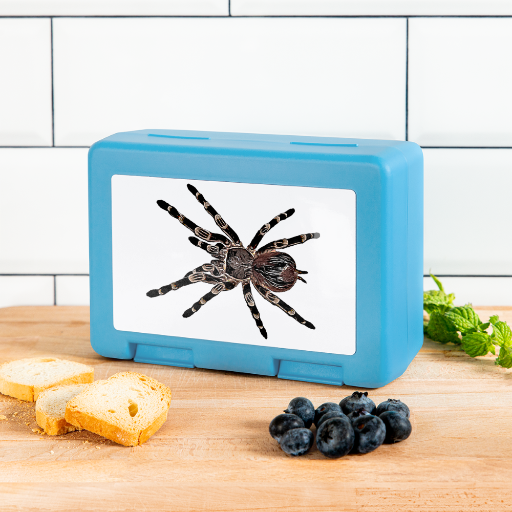 Lunchbox Acanthoscurria geniculata - sapphire blue