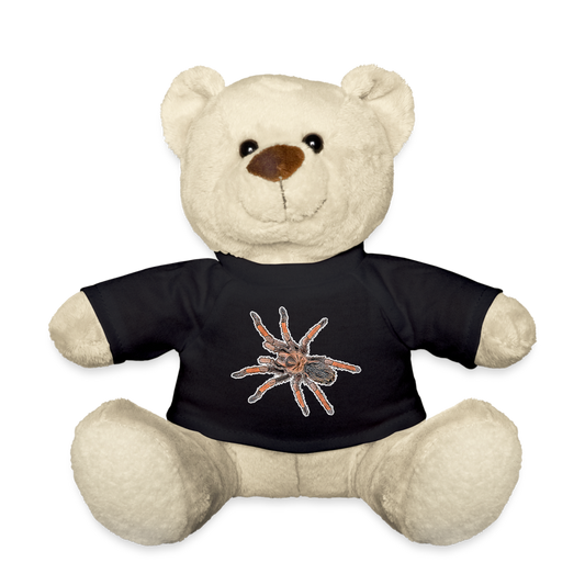 Teddy Brachypelma emilia - black