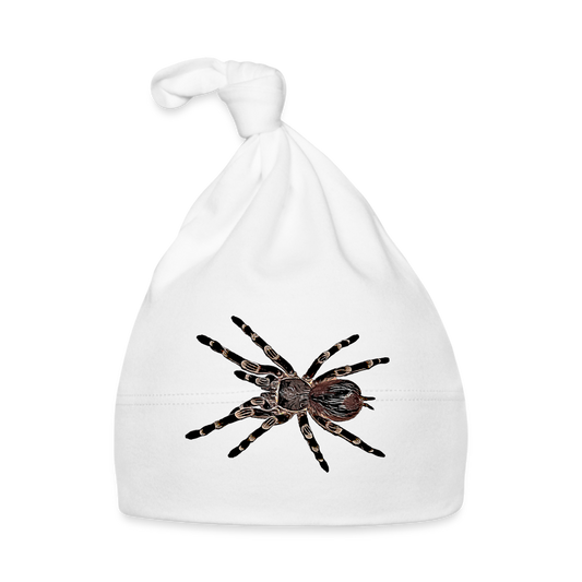 Baby Mützchen Acanthoscurria geniculata - white