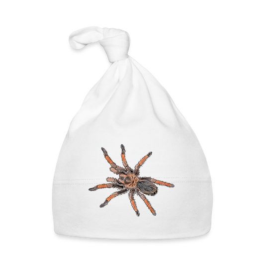 Baby Mützchen Brachypelma emilia - white