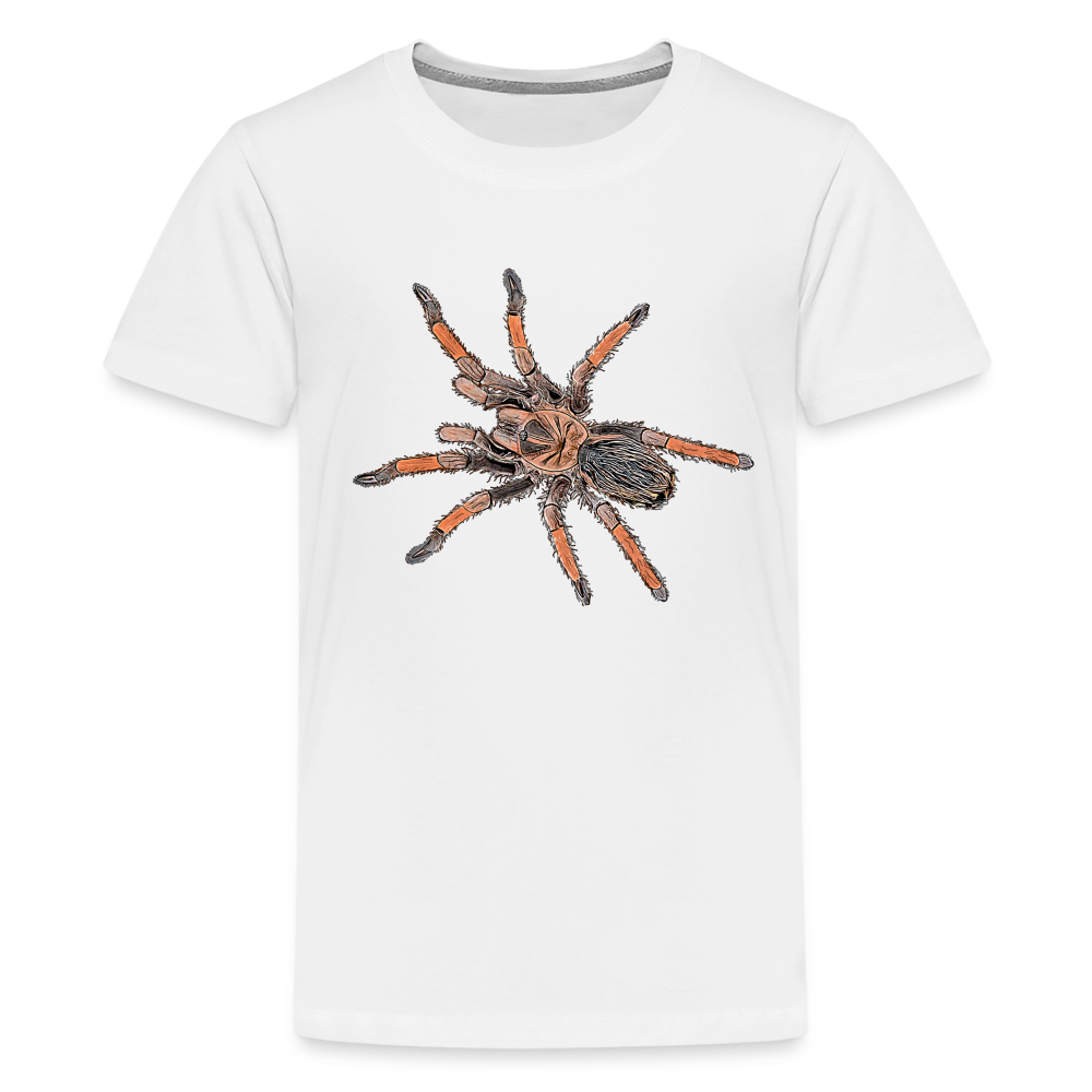 Teenager Basic T-Shirt Brachypelma emilia - weiß