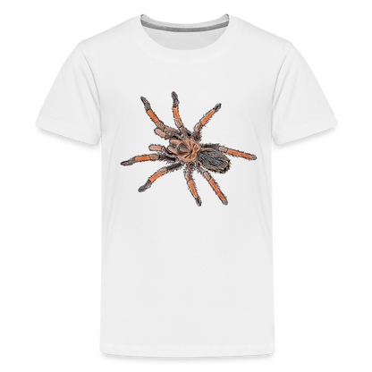 Teenager Basic T-Shirt Brachypelma emilia - weiß