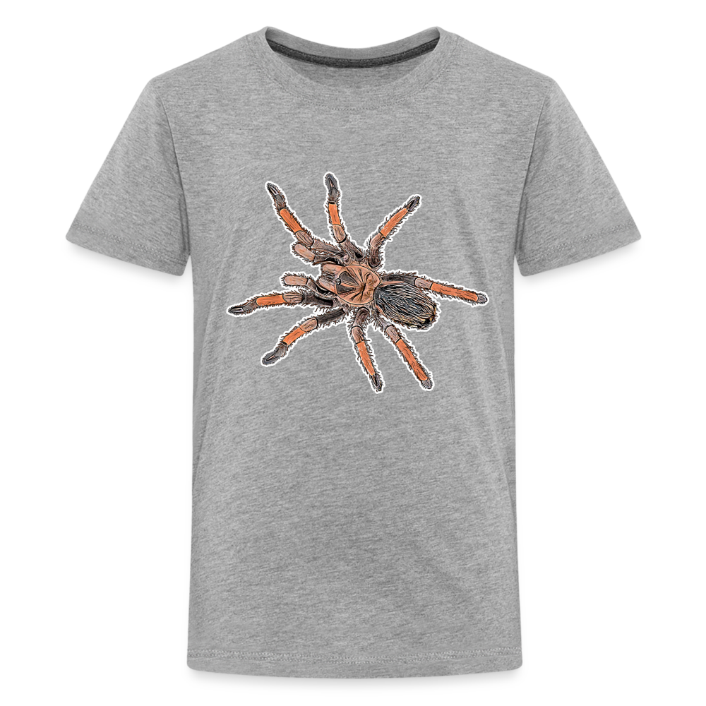 Teenager Basic T-Shirt Brachypelma emilia - Grau meliert