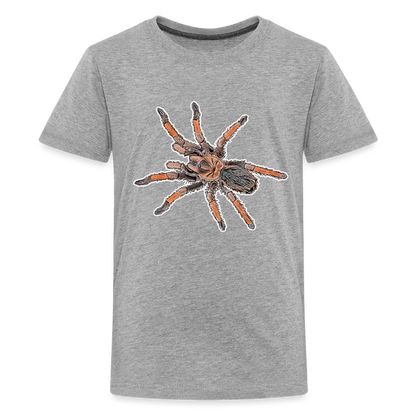 Teenager Basic T-Shirt Brachypelma emilia - Grau meliert