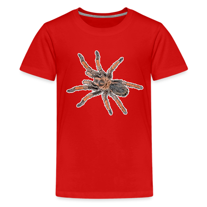 Teenager Basic T-Shirt Brachypelma emilia - Rot