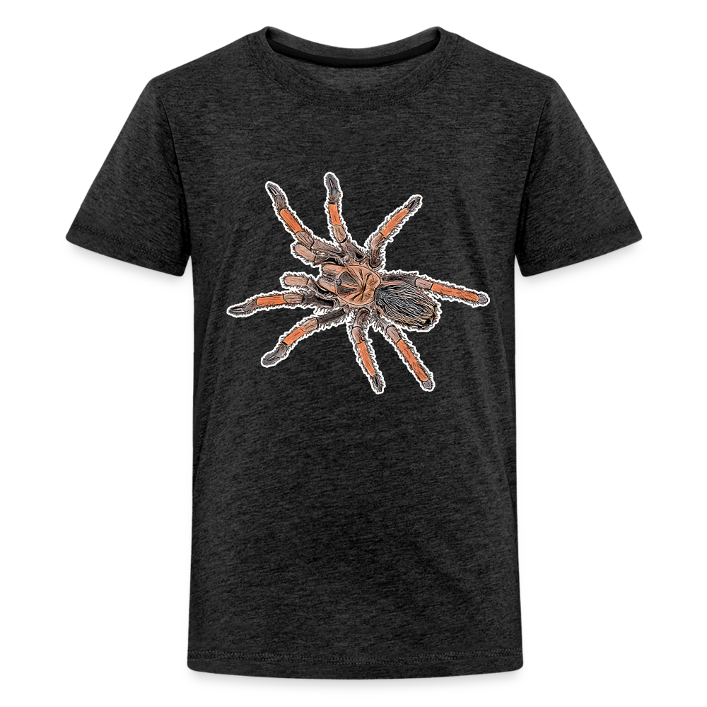 Teenager Basic T-Shirt Brachypelma emilia - Anthrazit
