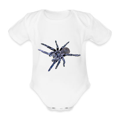 Baby Body kurz Pterinopelma sazimai - weiß